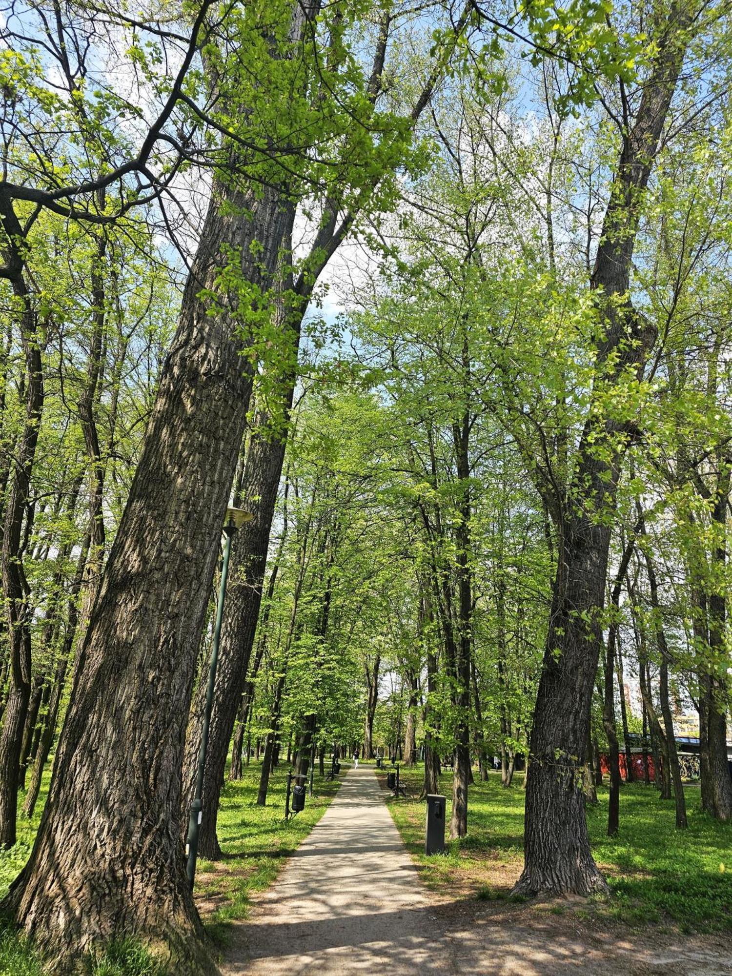 Park Apartment Красков Екстериор снимка